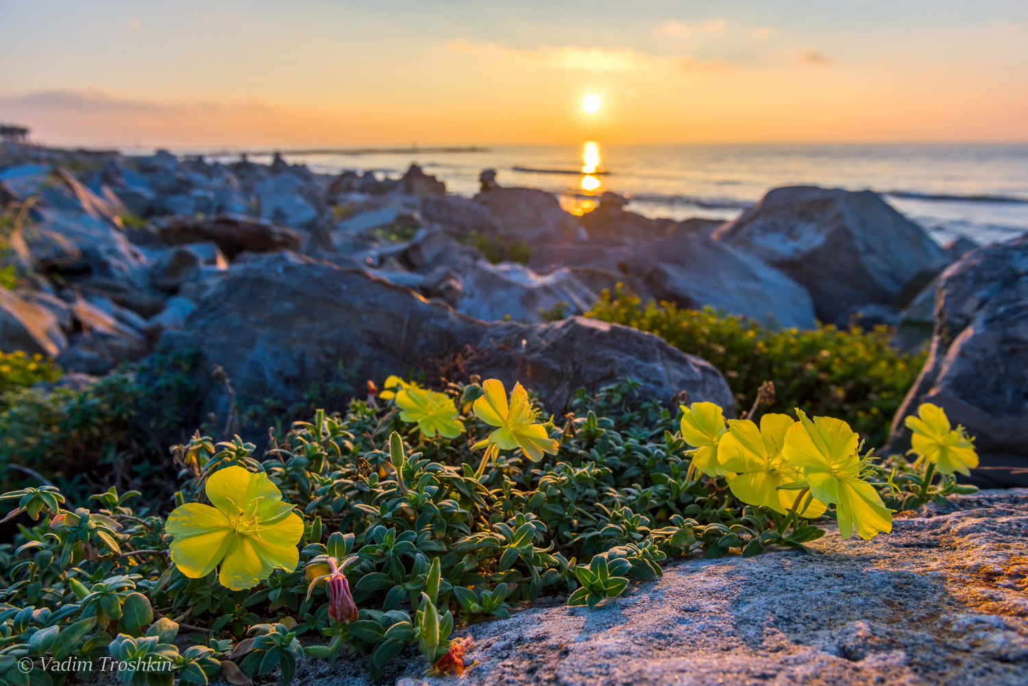 Sept.30, 2014. Sunrise. sunrise,