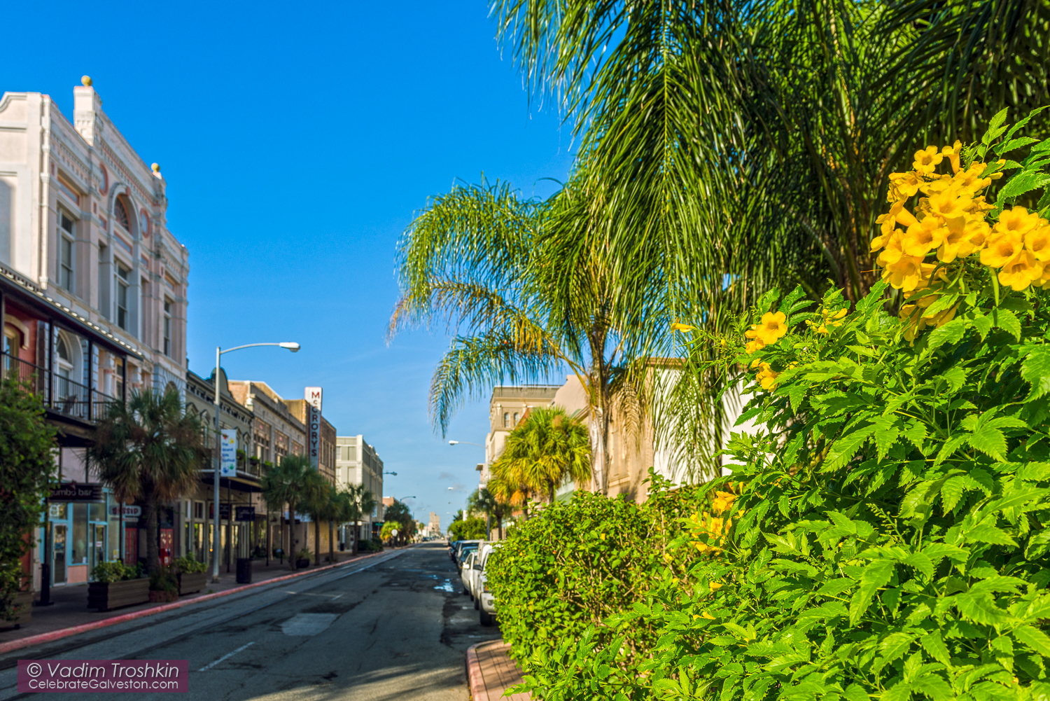 Galveston Downtown 
