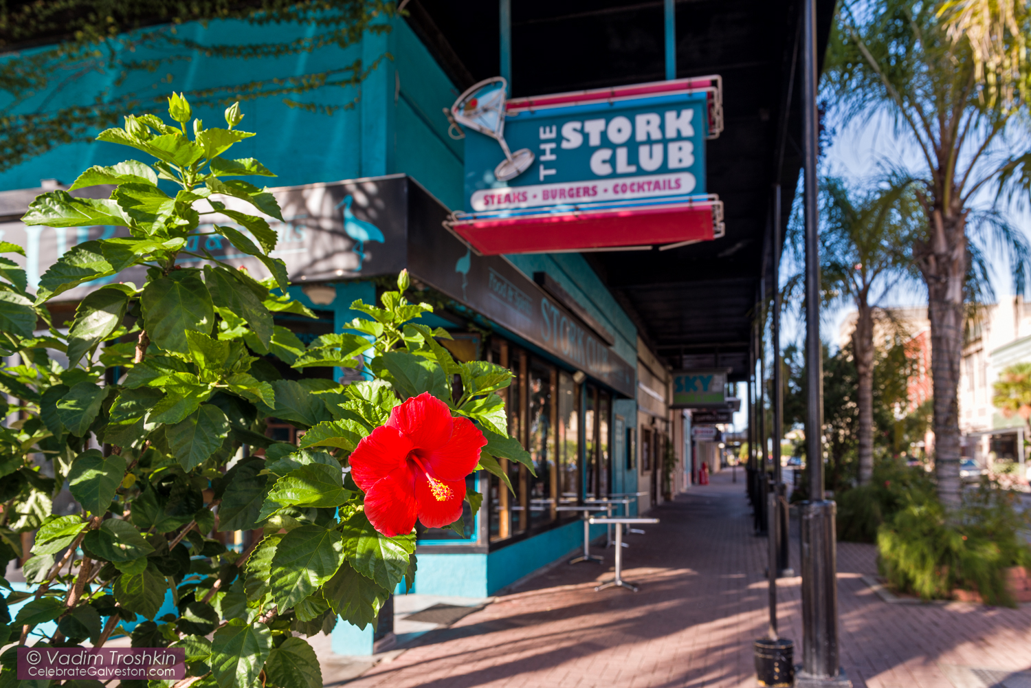 Galveston Downtown 