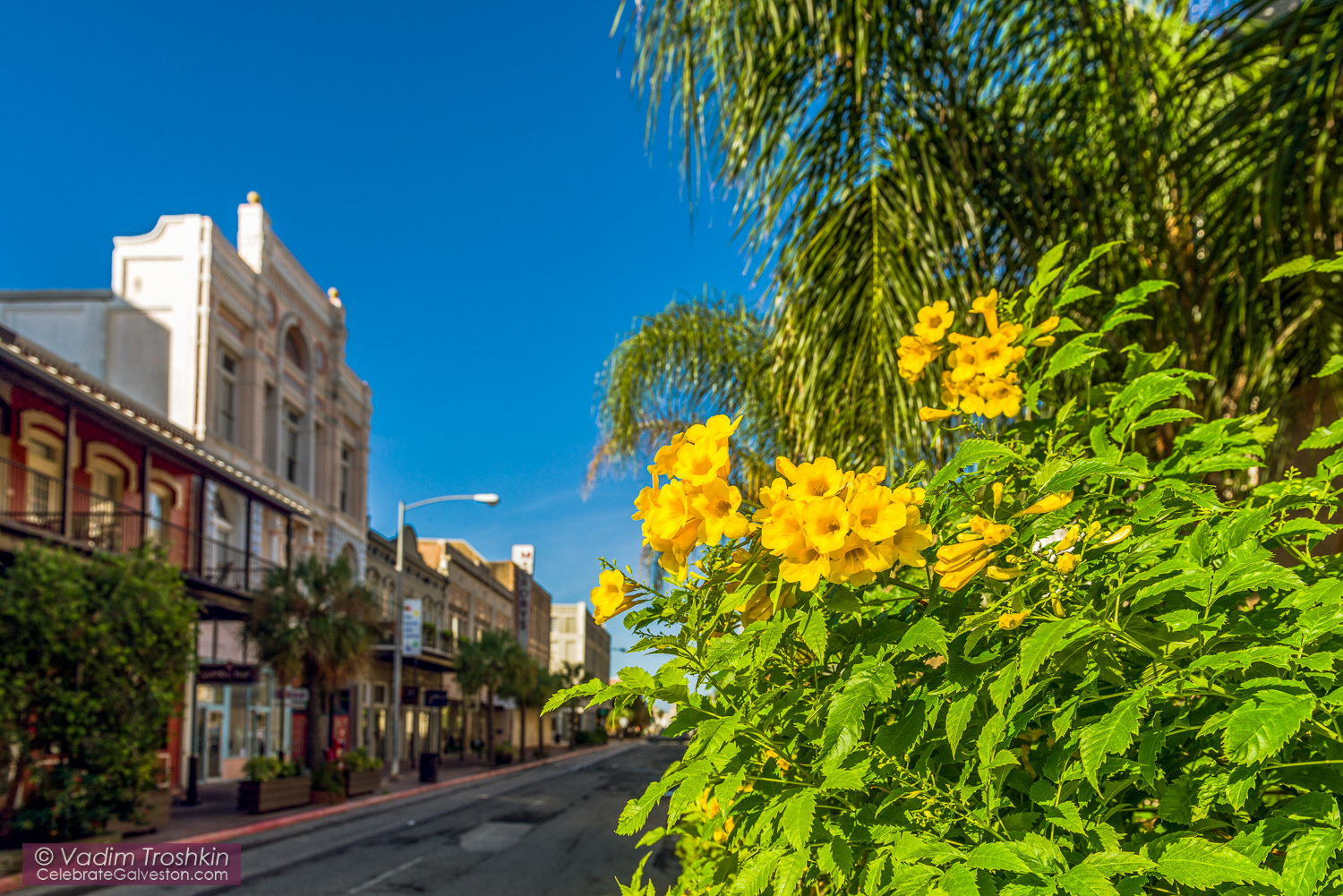 Galveston Downtown 