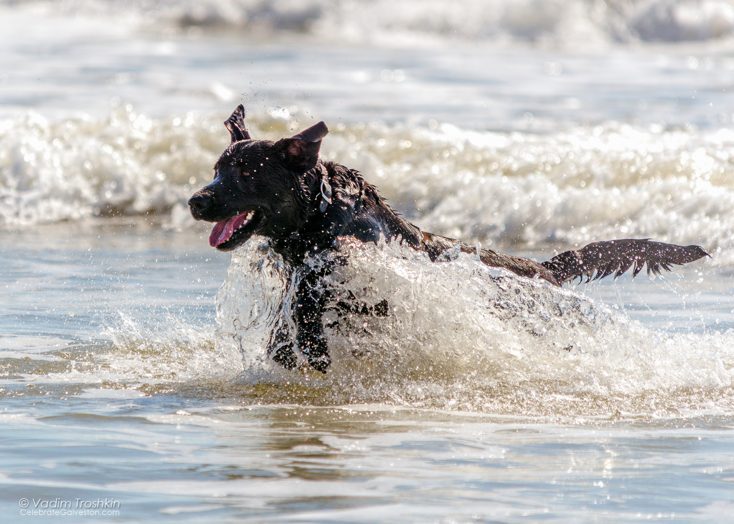 Oct. 7, 2014. On the beach. 
