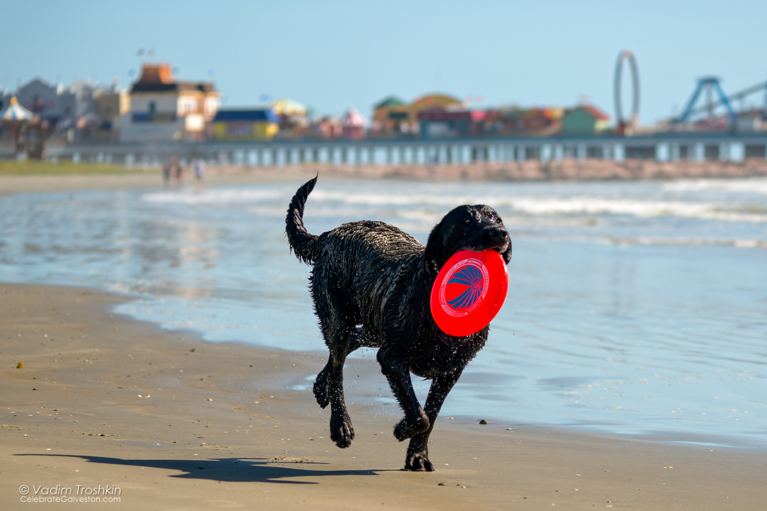 Oct. 7, 2014. On the beach. 