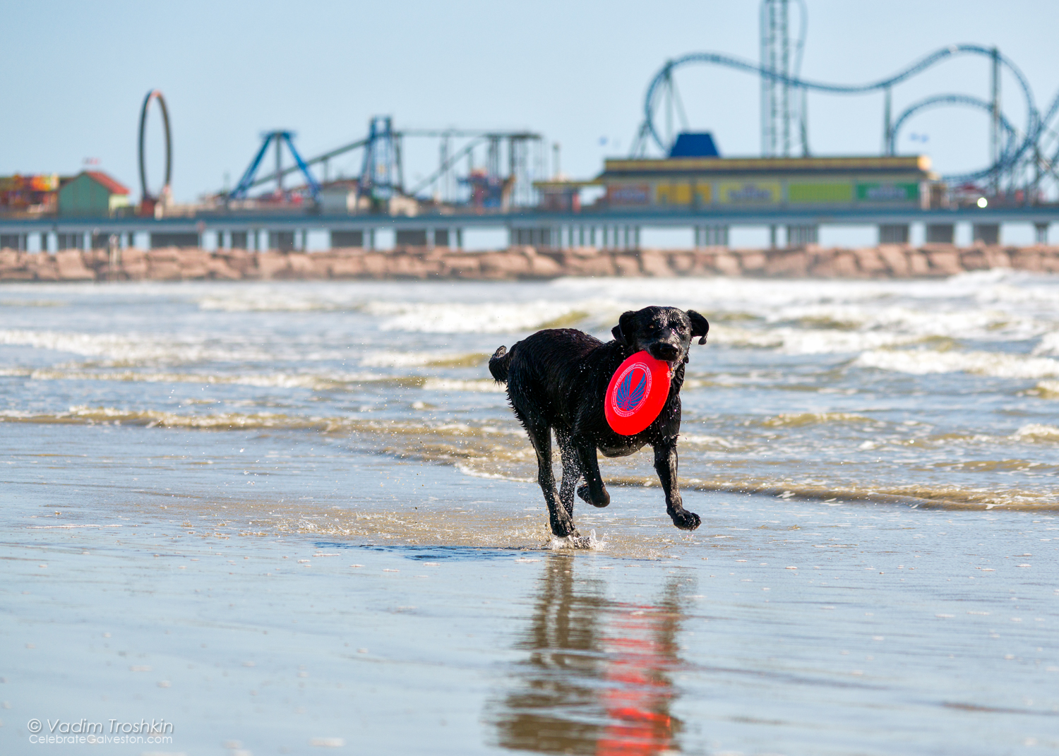 Oct. 7, 2014. On the beach. 