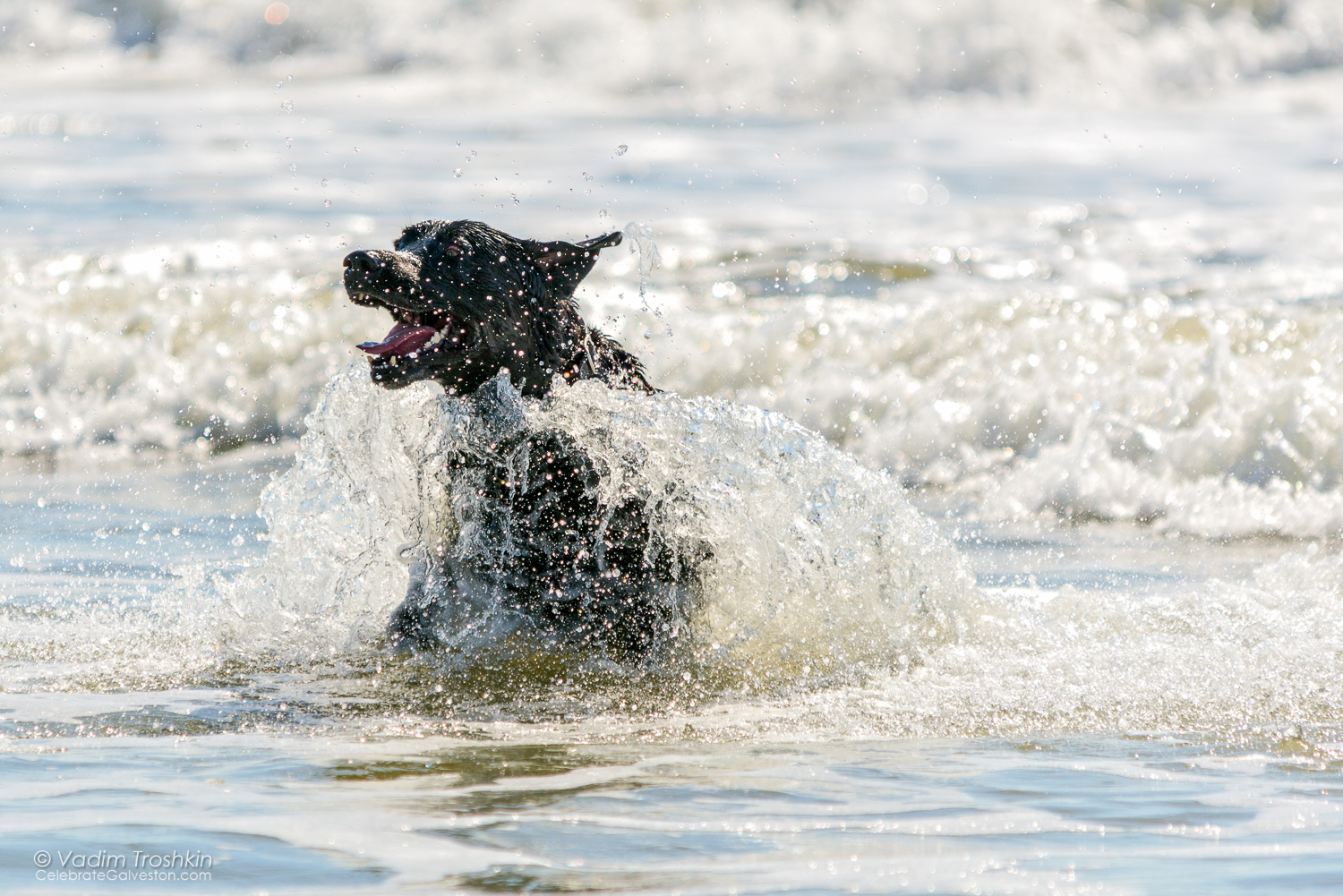 Oct. 7, 2014. On the beach. 