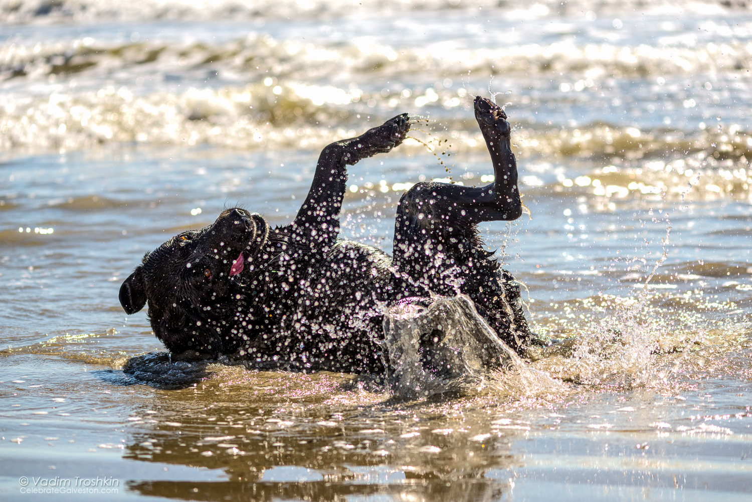 Oct. 7, 2014. On the beach. 