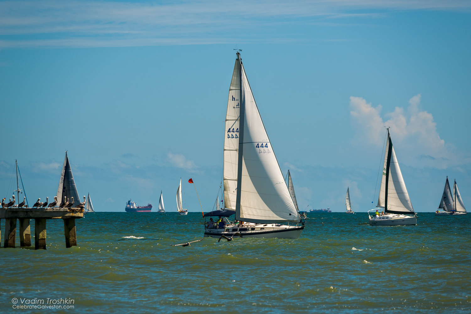 Oct. 9, 2014. Regatta 