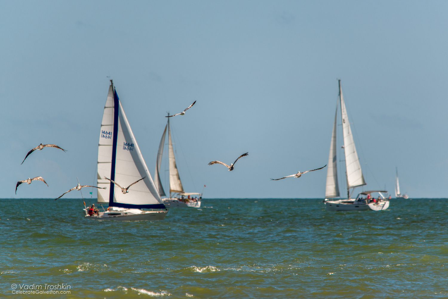 Oct. 9, 2014. Regatta 