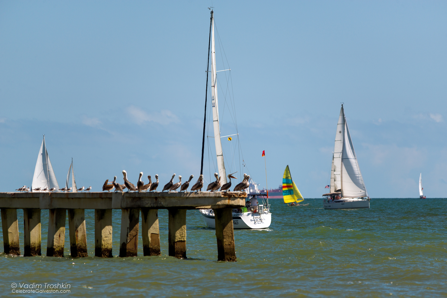 Oct. 9, 2014. Regatta 