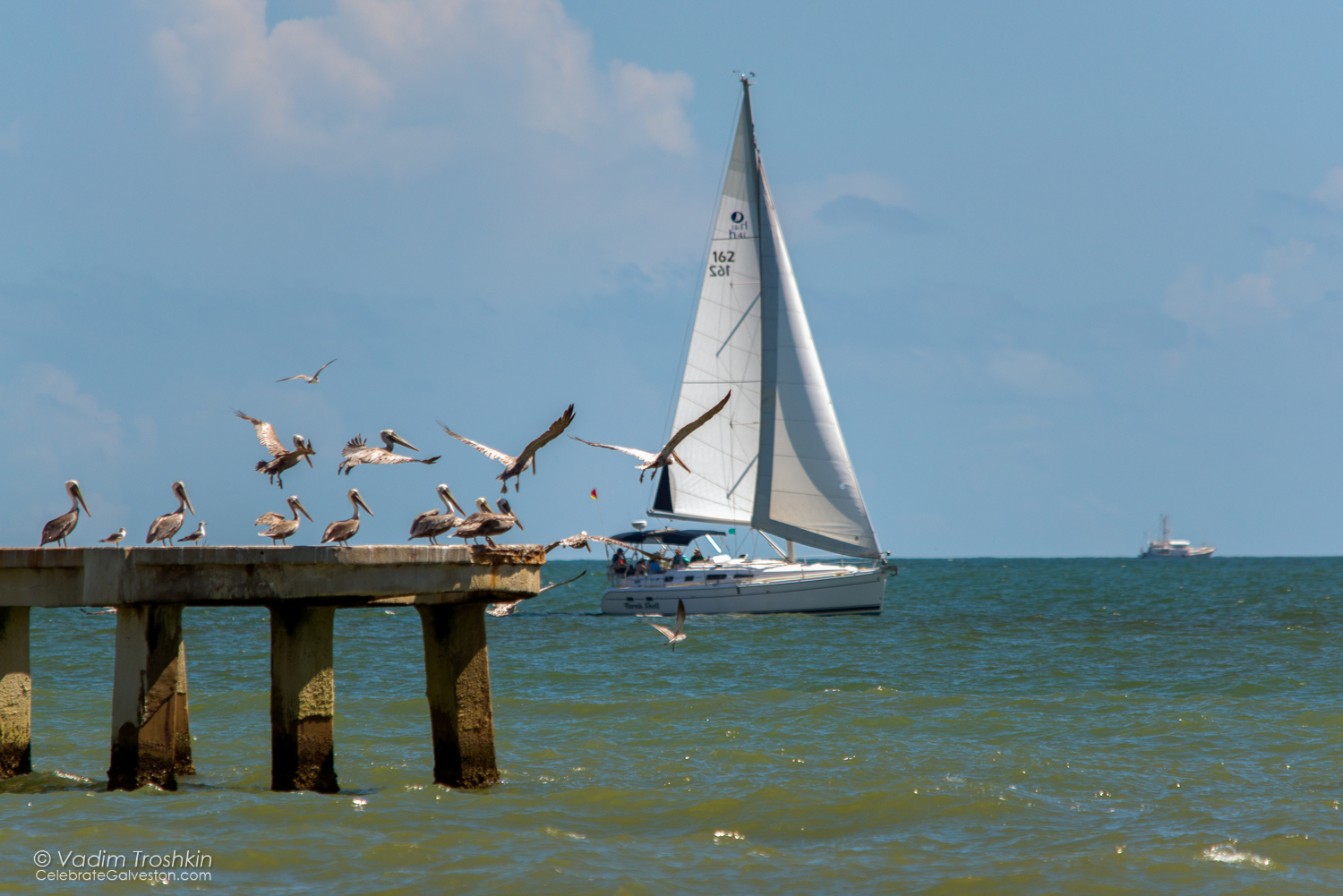 Oct. 9, 2014. Regatta 