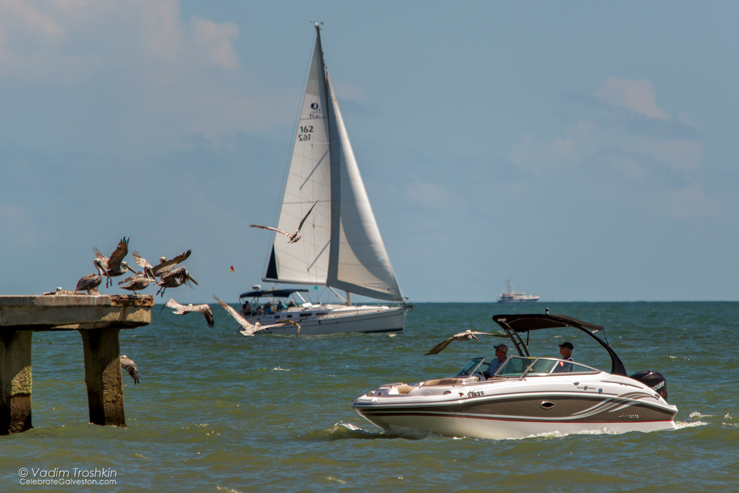 Oct. 9, 2014. Regatta 