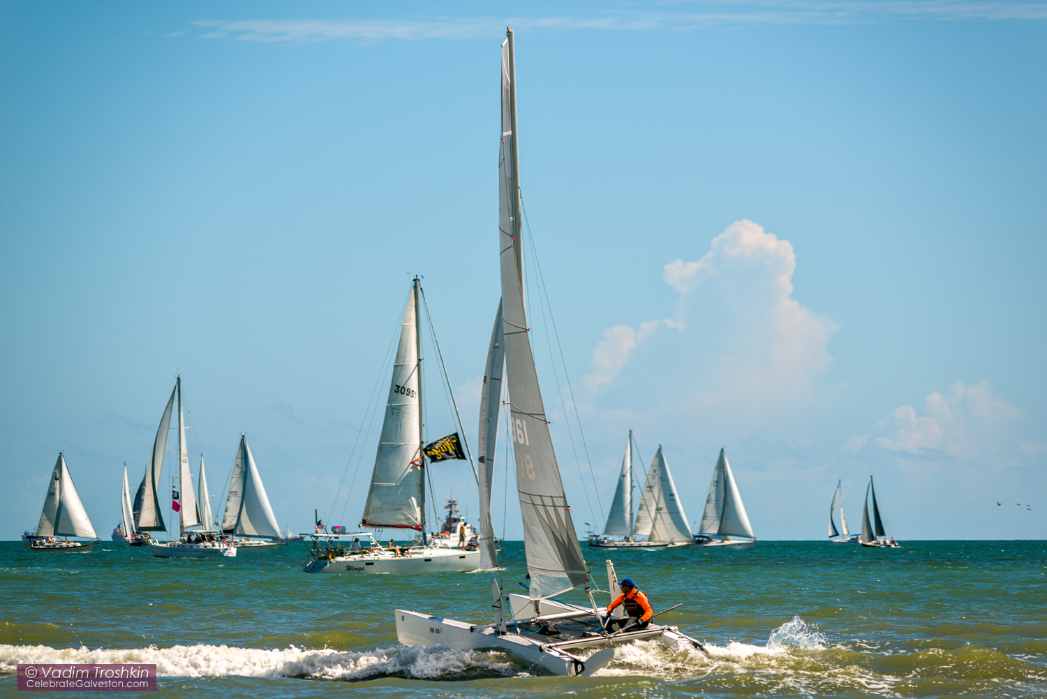 Oct. 9, 2014. Regatta 