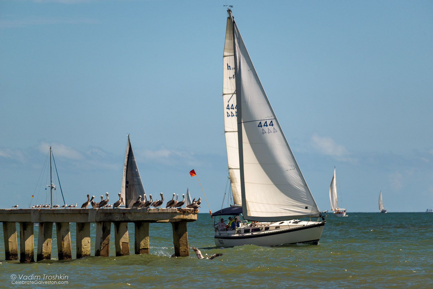 Oct. 9, 2014. Regatta 