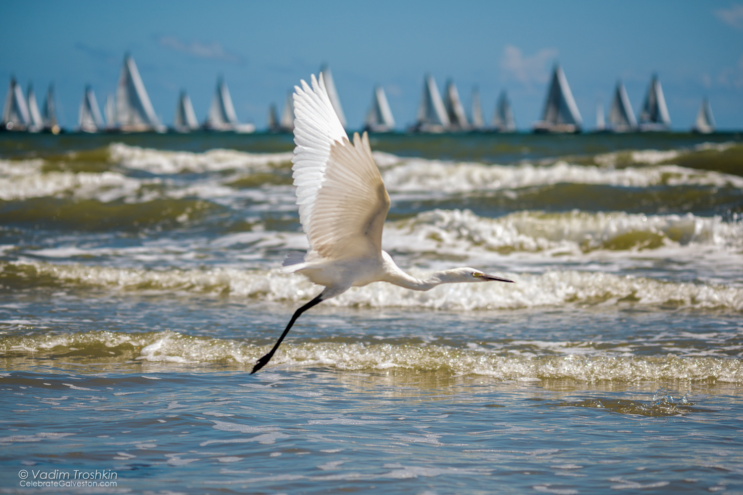 Oct. 9, 2014. Regatta 