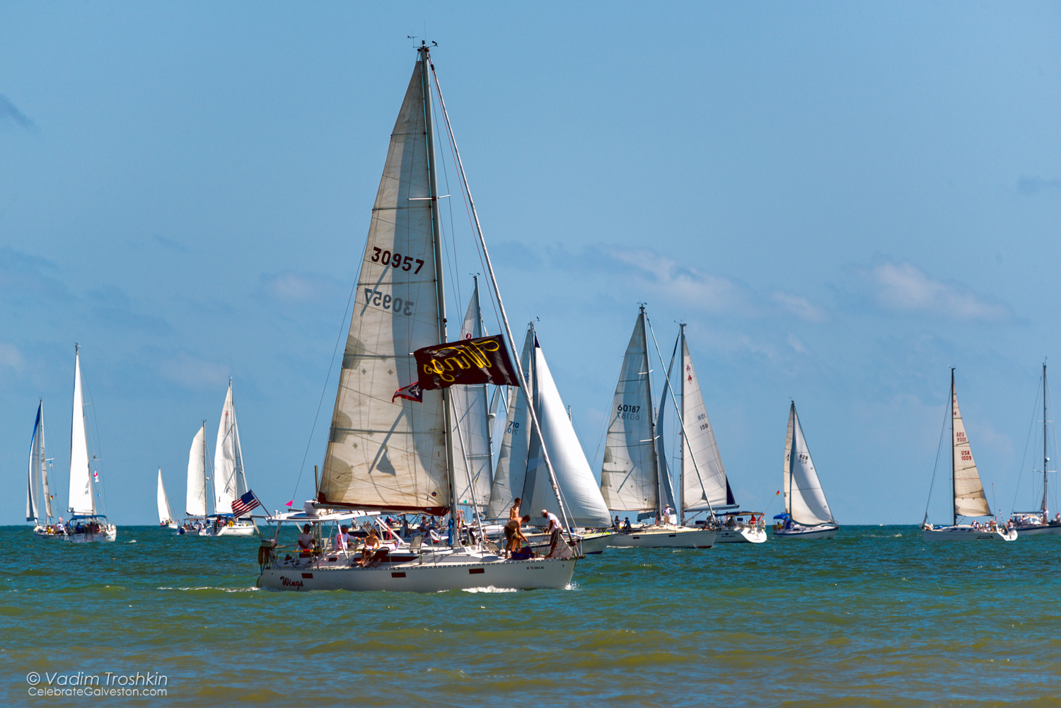 Oct. 9, 2014. Regatta 