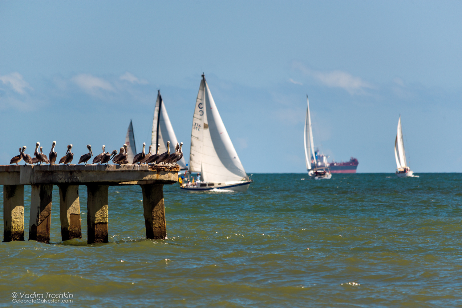 Oct. 9, 2014. Regatta 