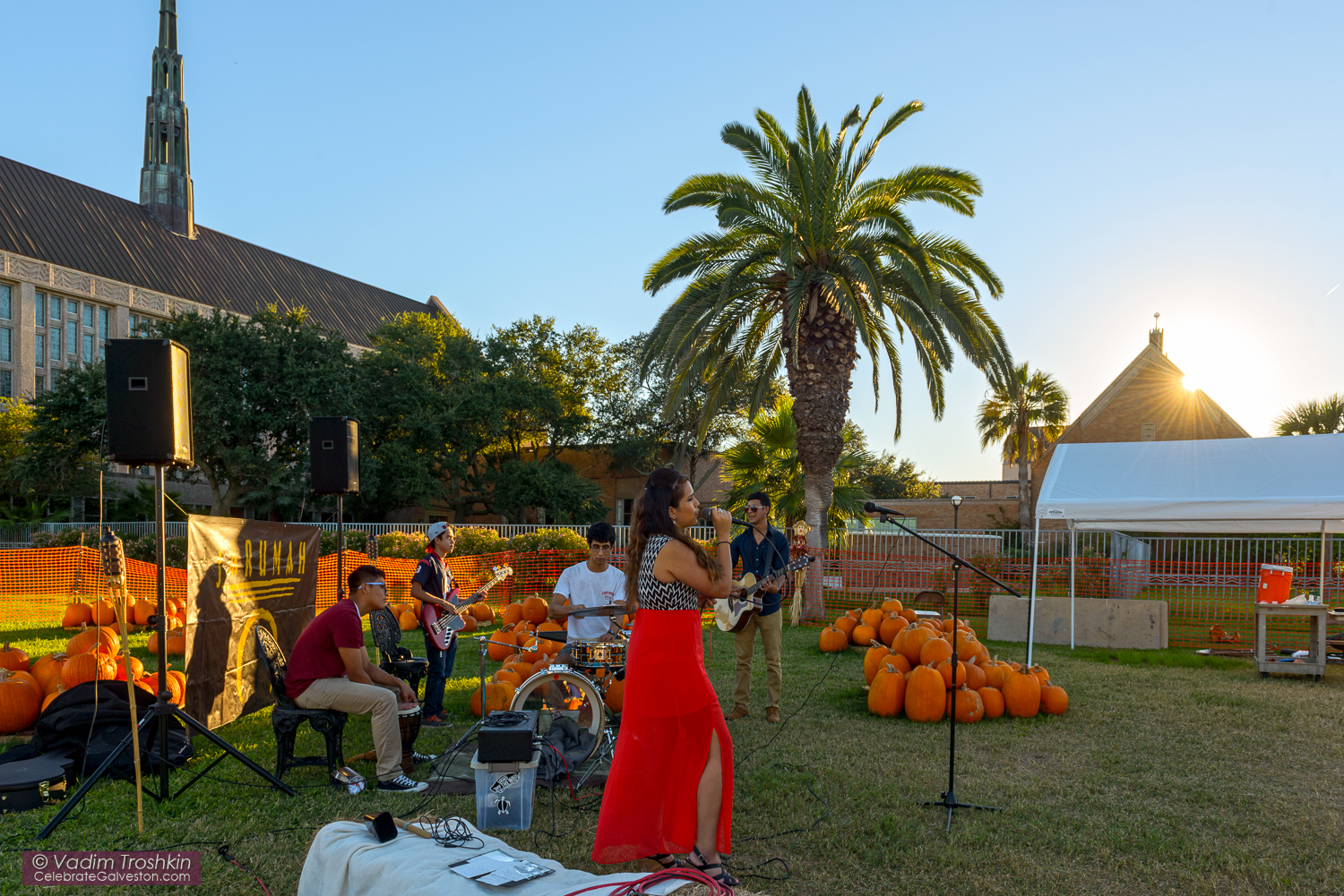 The Pumpkin Patch 