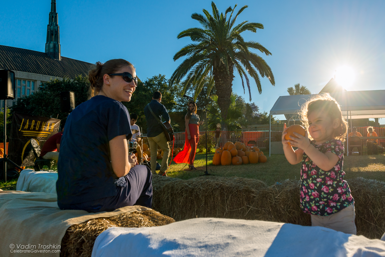 The Pumpkin Patch 
