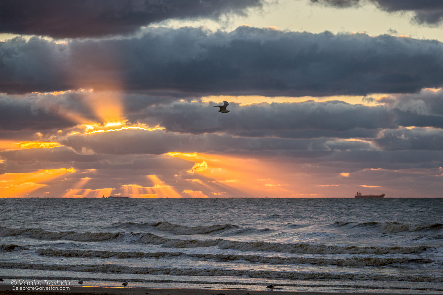 October 17, 2014. Sunrise. sunrise,