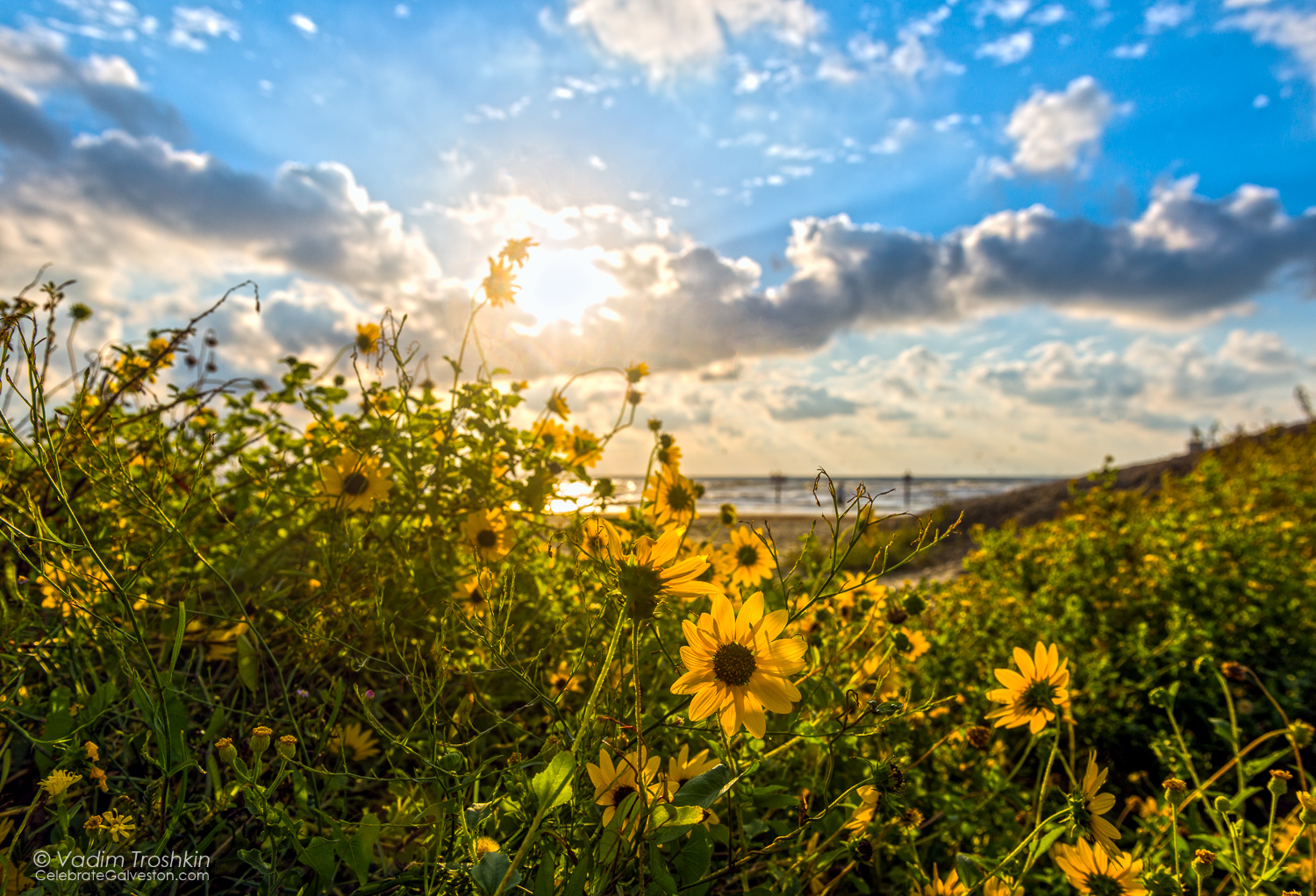 October 20, 2014. Sunrise 
