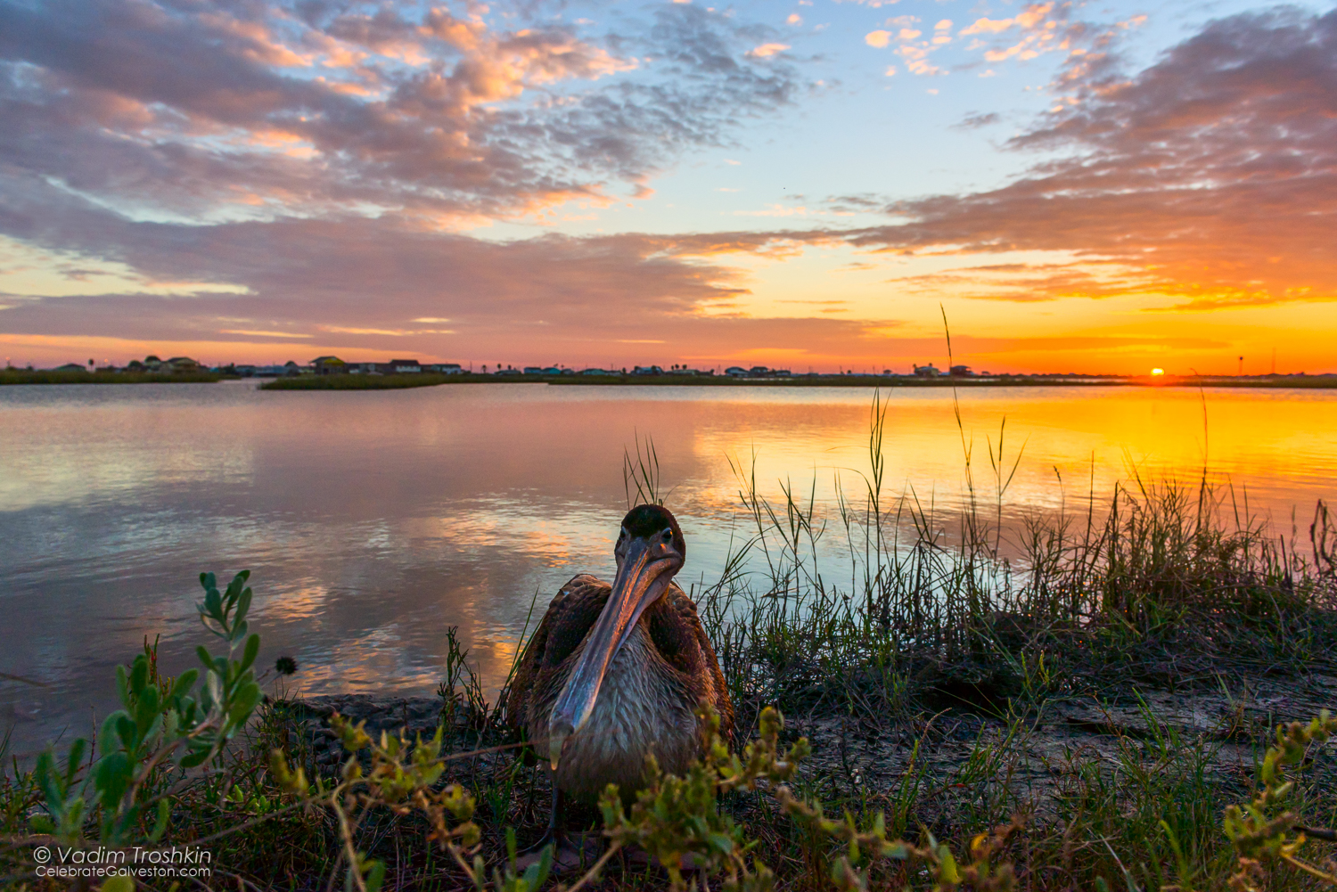 October 23, 2014. Sunset 