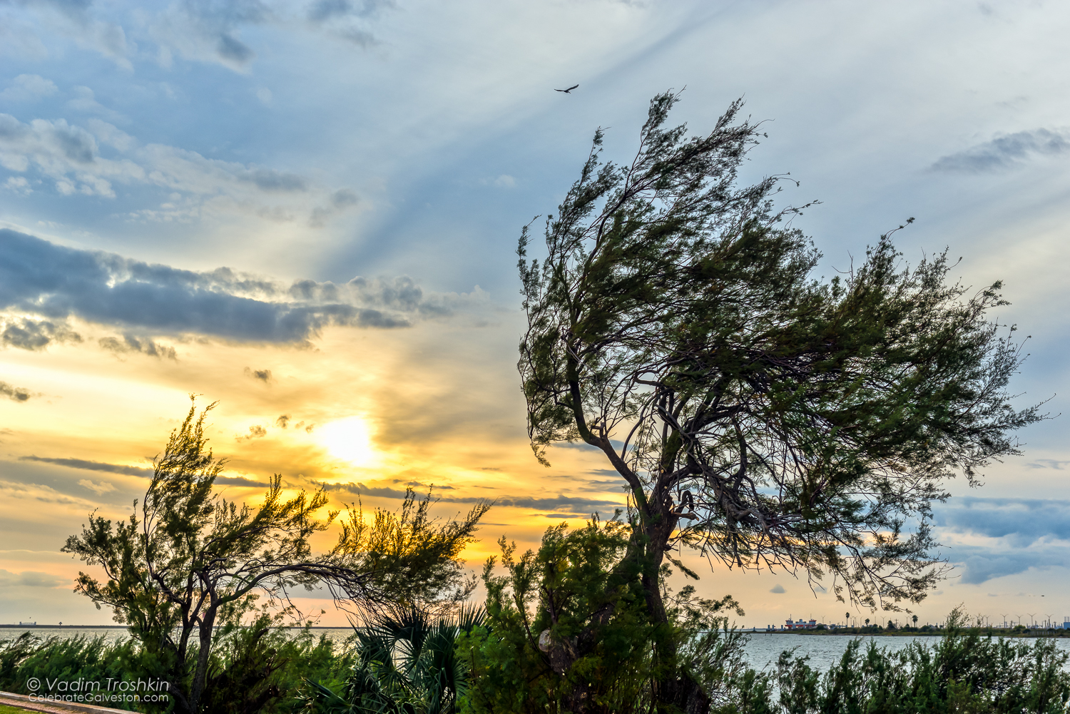 November 3, 2014. Sunset. 