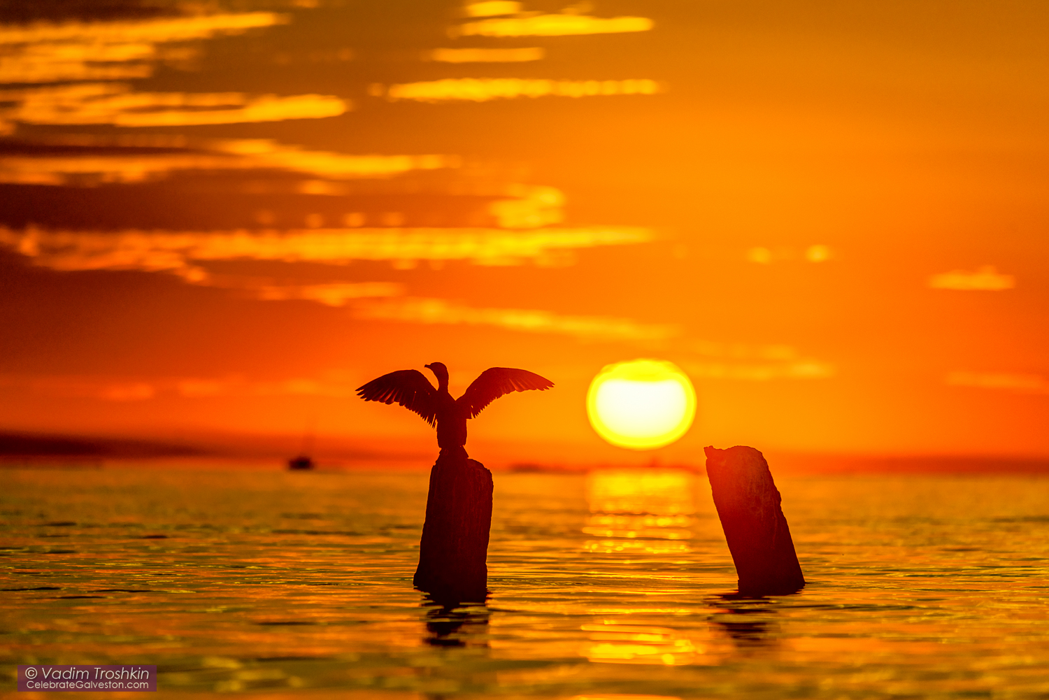 November 8, 2014. Sunset. 