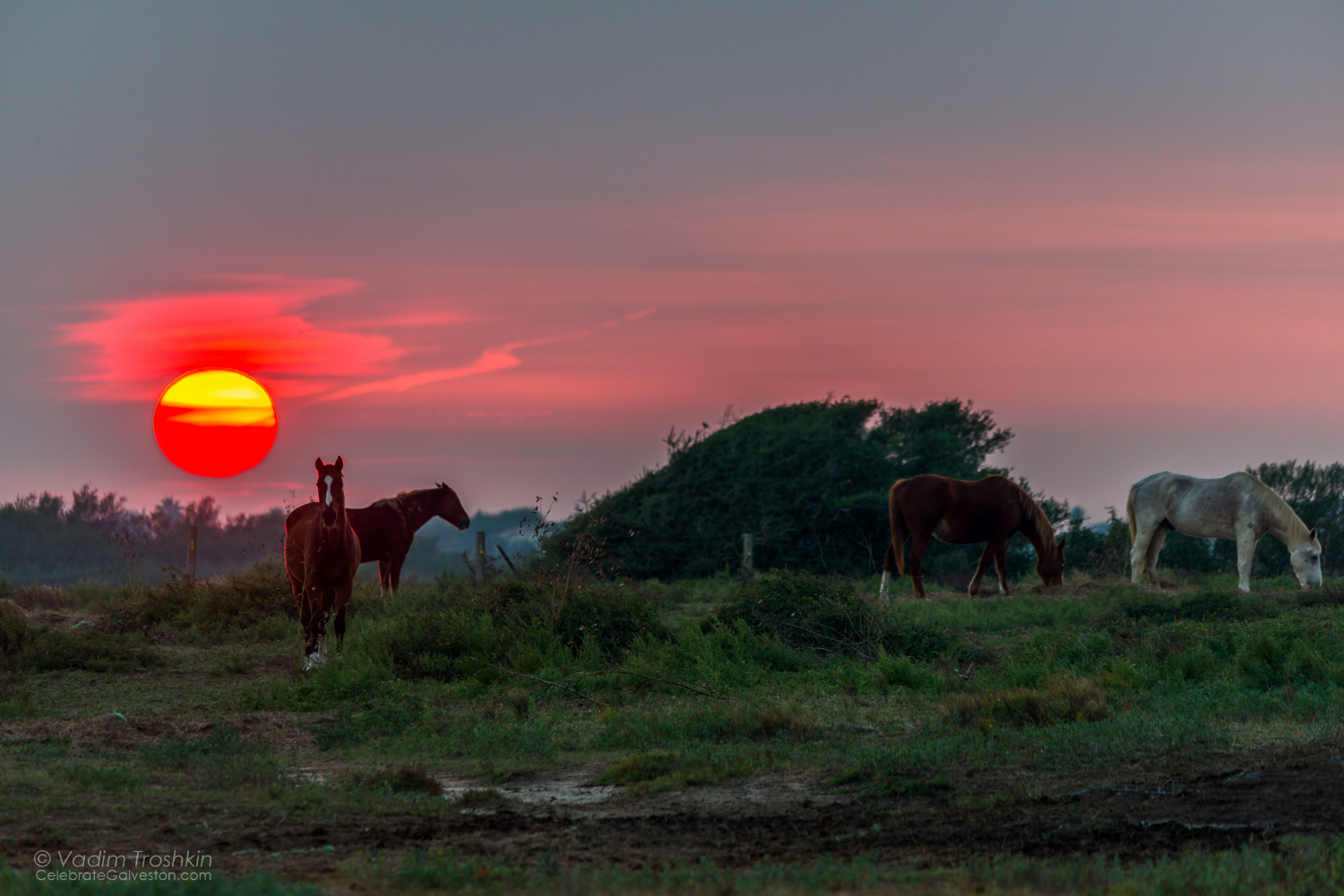 November 18, 2014. Sunset. 