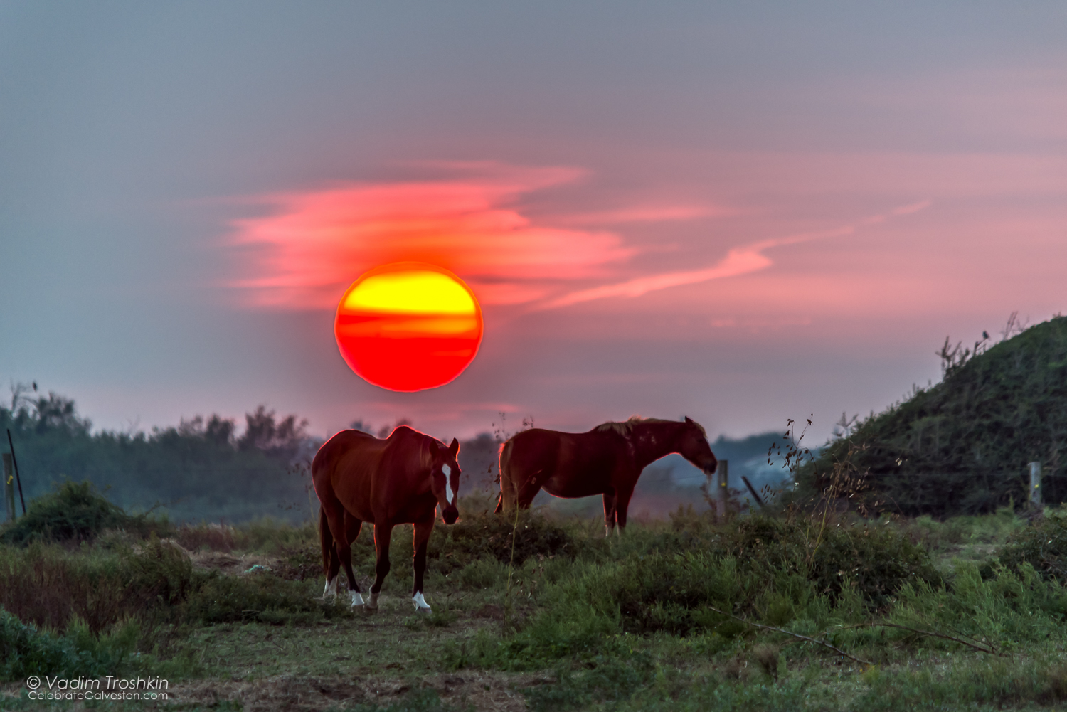 November 18, 2014. Sunset. 