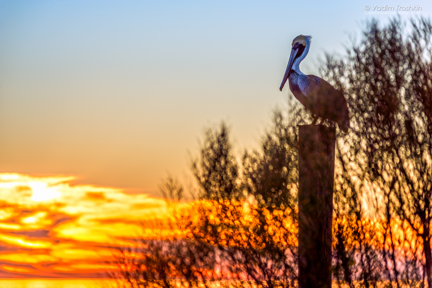 January 18, 2015. Sunset. 