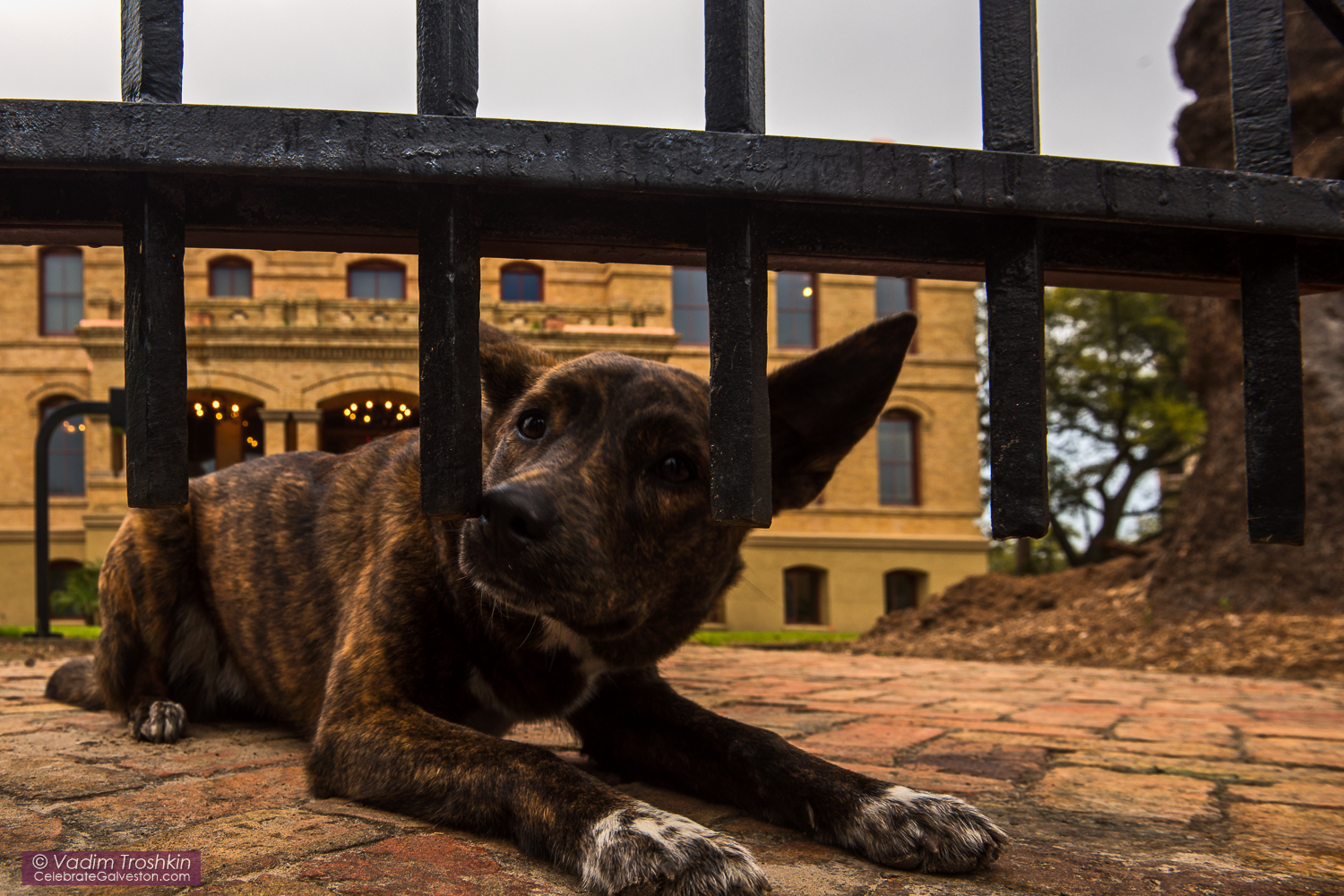 03/26/15 The Bryan Museum 