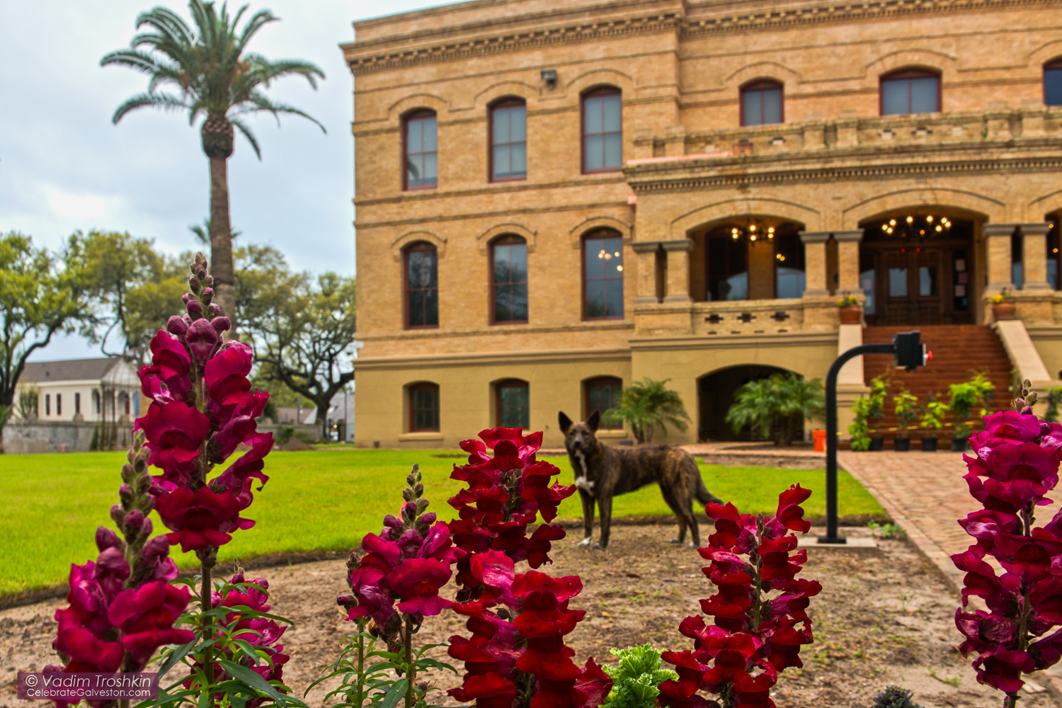 03/26/15 The Bryan Museum 