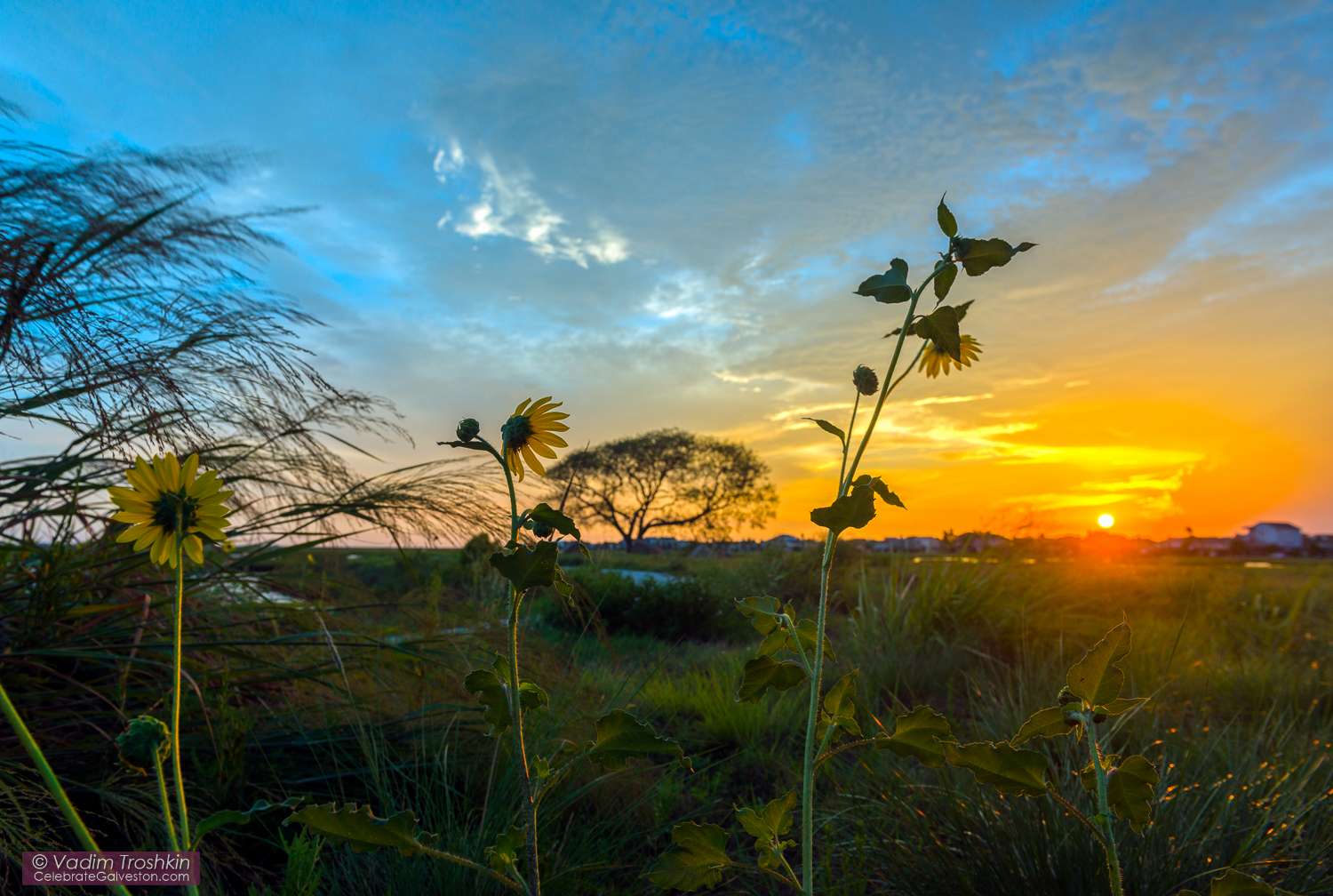 August 23, 2015. #Sunset 