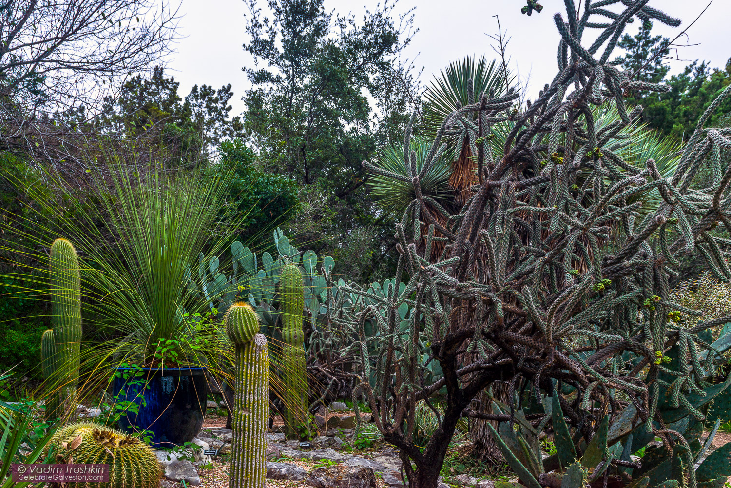 Zilker Botanical Garden 