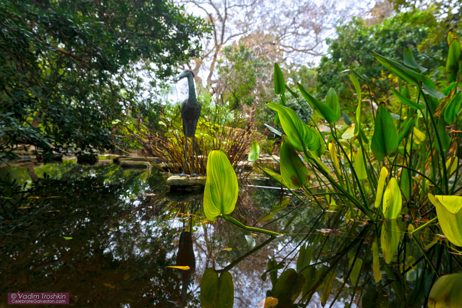 Zilker Botanical Garden 
