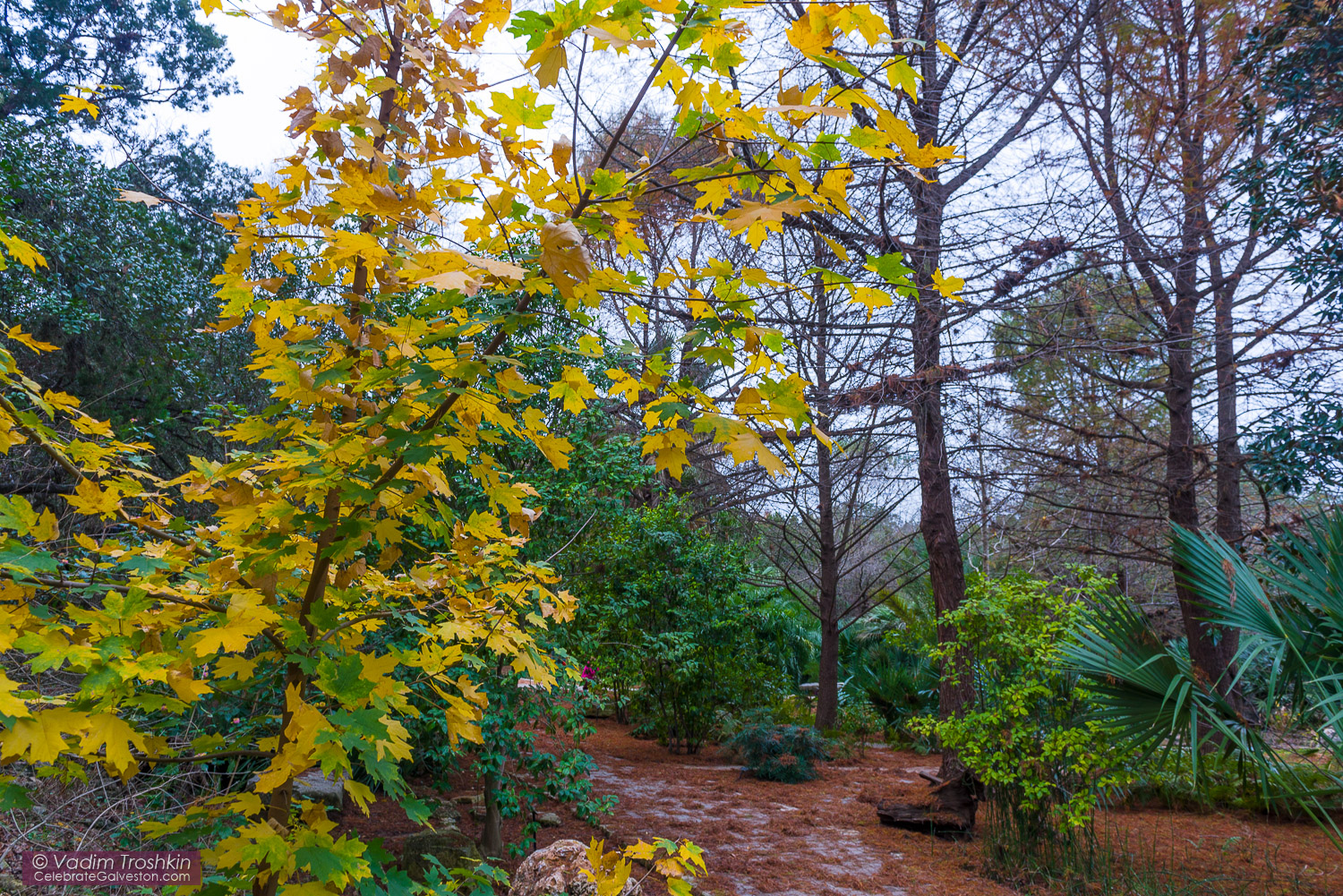 Zilker Botanical Garden 