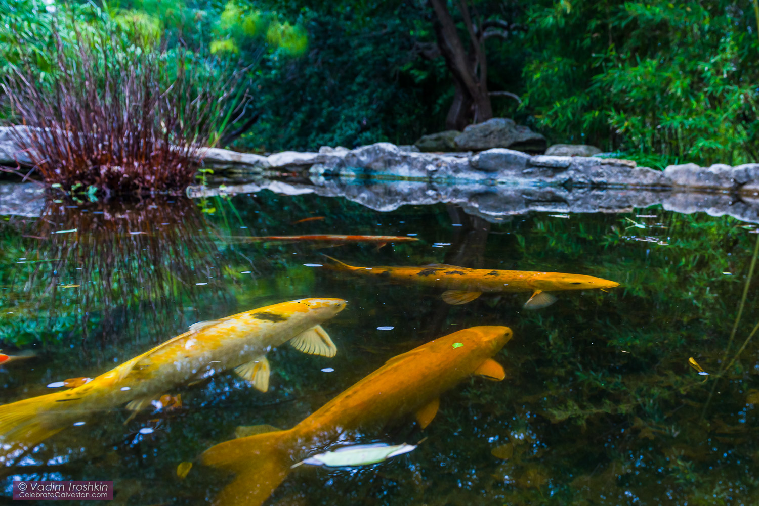 Zilker Botanical Garden 