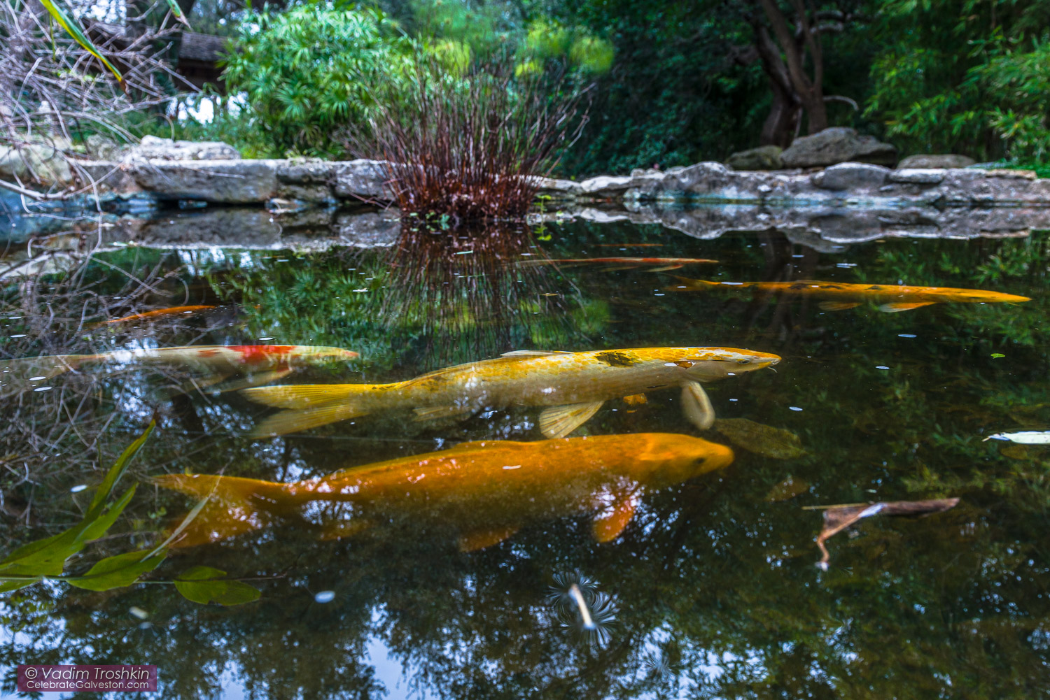 Zilker Botanical Garden 