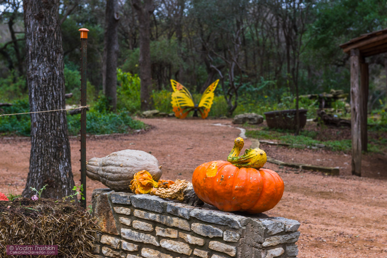 Zilker Botanical Garden 