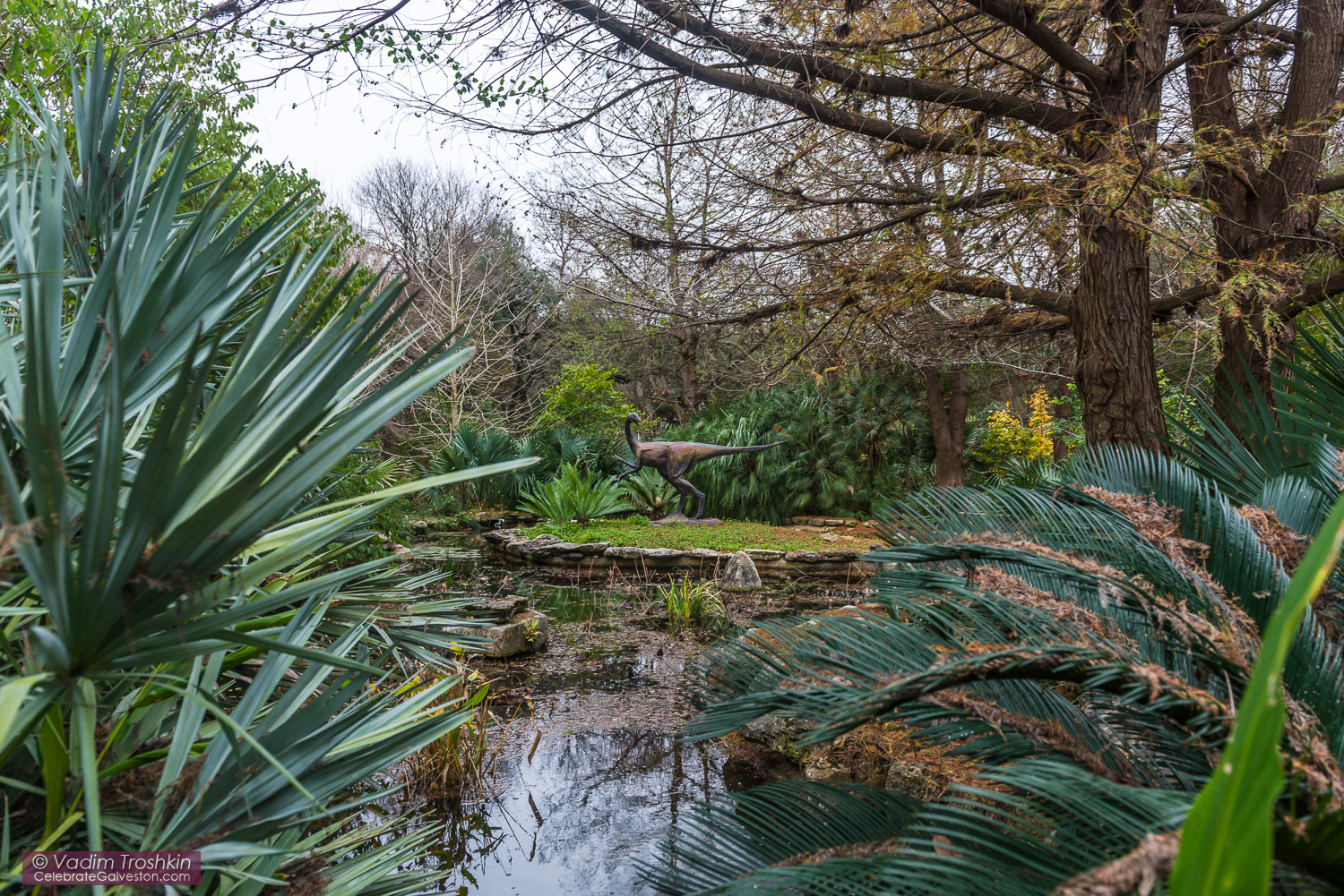 Zilker Botanical Garden 