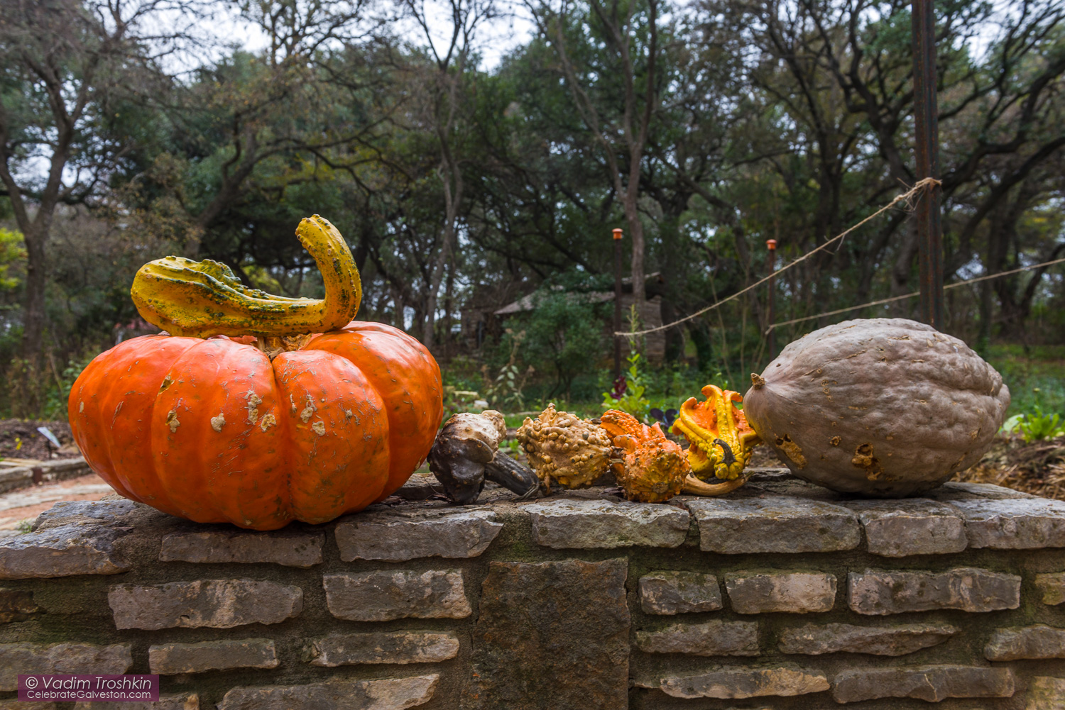 Zilker Botanical Garden 