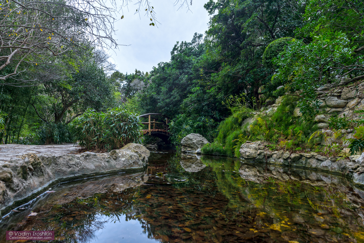 Zilker Botanical Garden 
