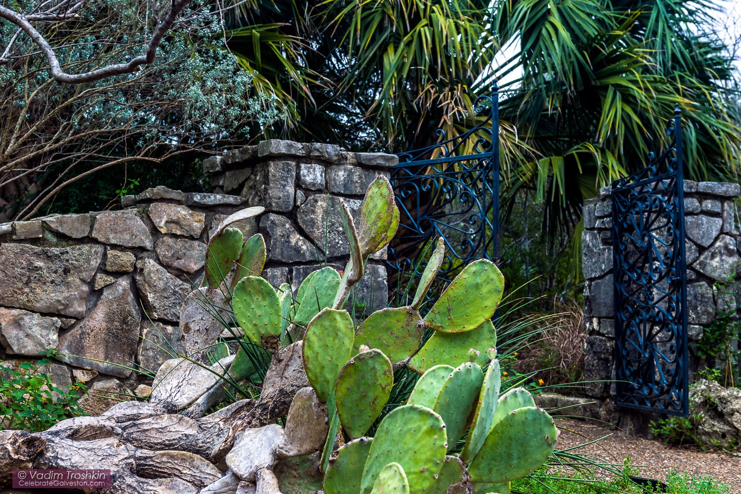 Zilker Botanical Garden 