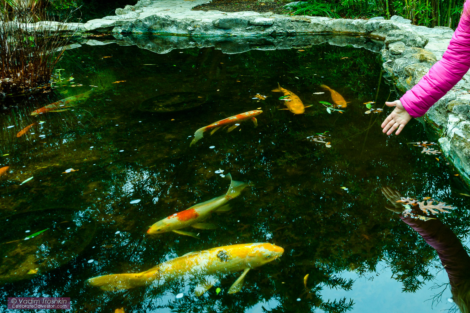 Zilker Botanical Garden 