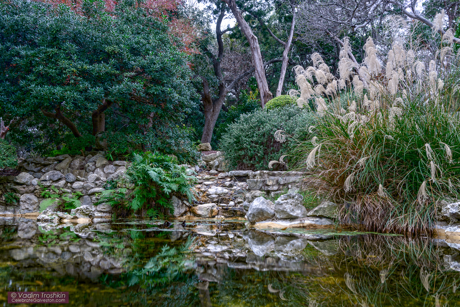 Zilker Botanical Garden 