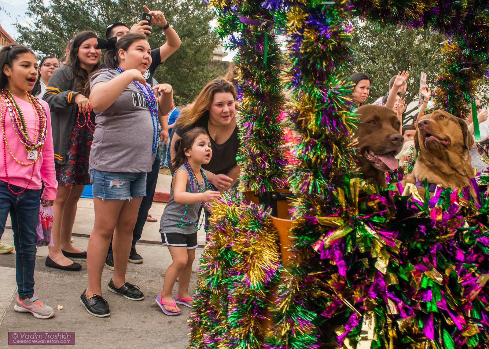 Krewe of Barkus & Meoux Parade 