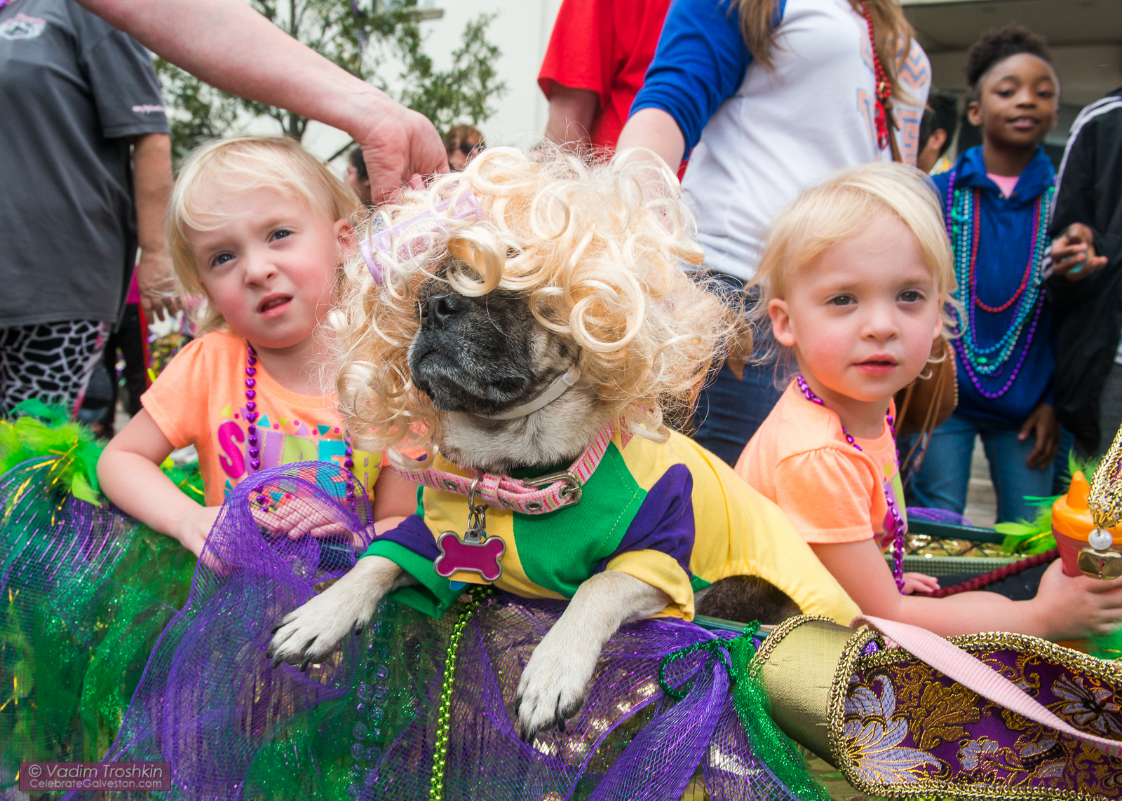 Krewe of Barkus & Meoux Parade 