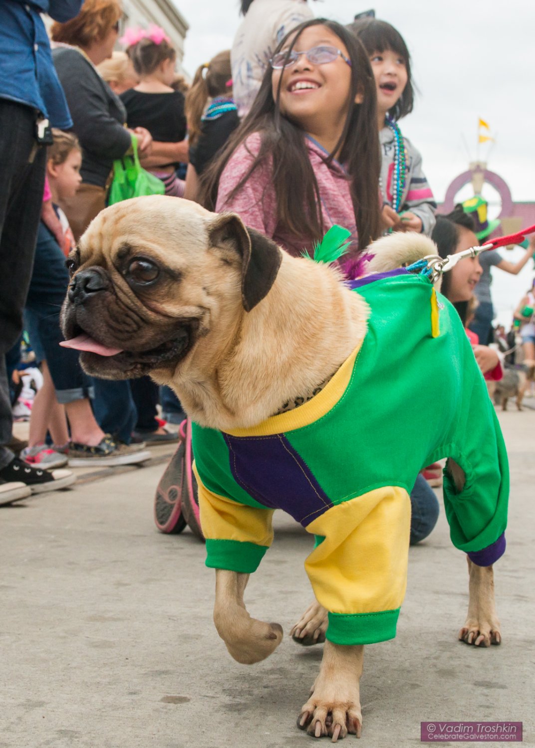 Krewe of Barkus & Meoux Parade 