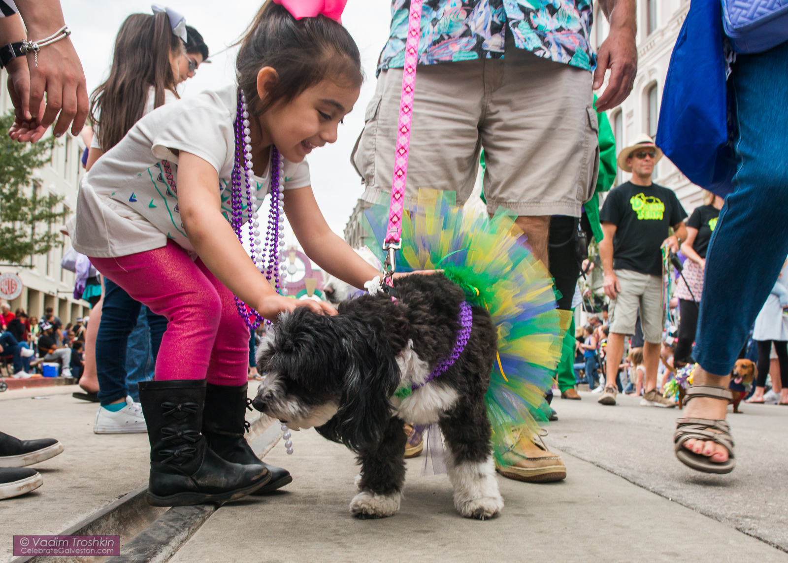 Krewe of Barkus & Meoux Parade 
