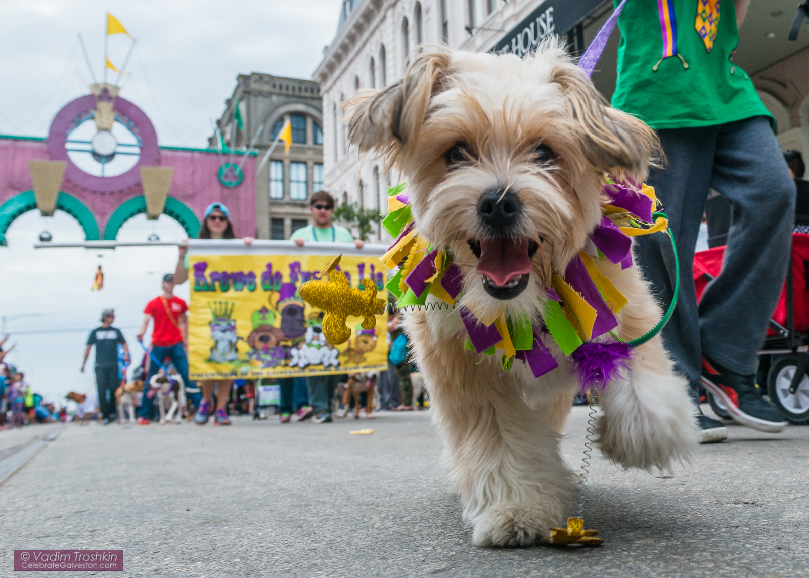 Krewe of Barkus & Meoux Parade 