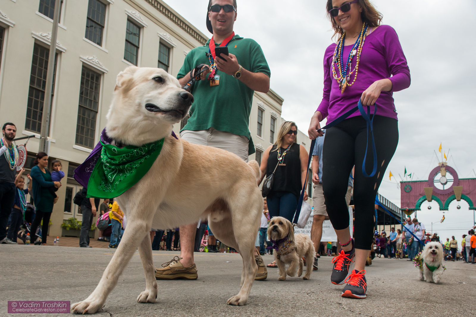 Krewe of Barkus & Meoux Parade 